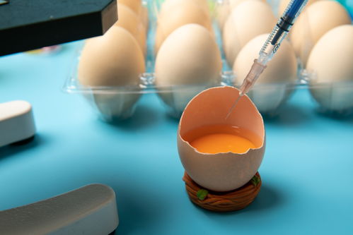 开壳鸡蛋食品安全农业科技食品培育摄影图 插画 下载至来源处
